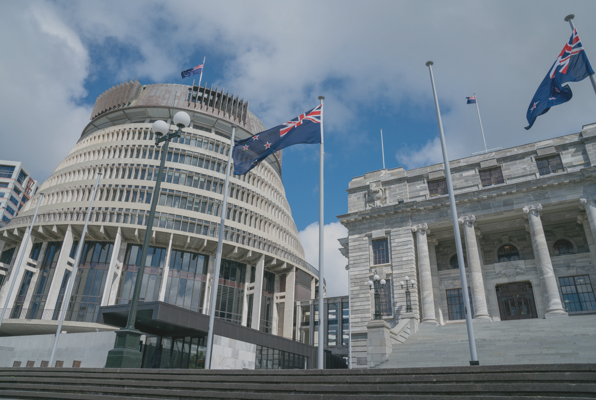 government government